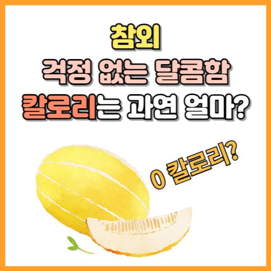참외 칼로리 안내