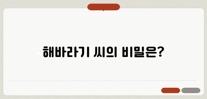 해바라기 씨 영양과 효능 간식으로 즐기는 건강한 씨앗