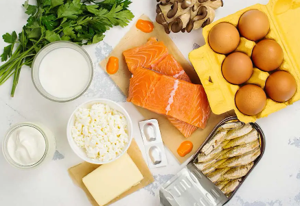 단백질, 탄수화물, 지질