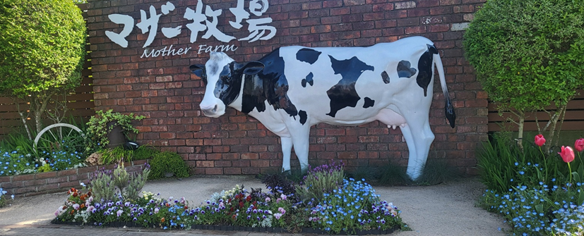 마더목장 입구 사진스팟