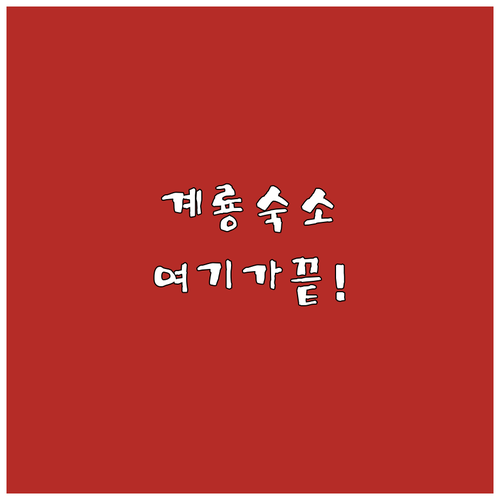 계룡 넘버25 브라운도트 등 시설 좋..