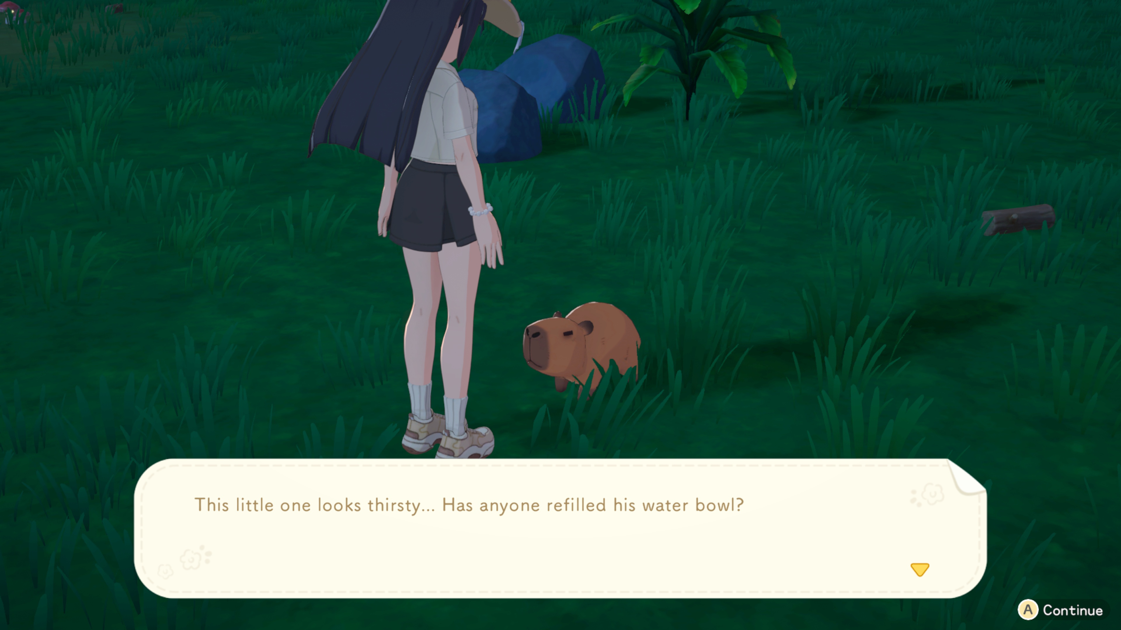 스타샌드 아일랜드 동물