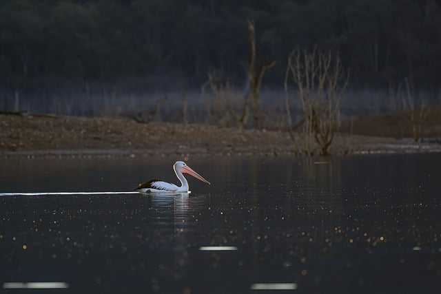 데일즐포드 미네랄 스프링스 호수풍경