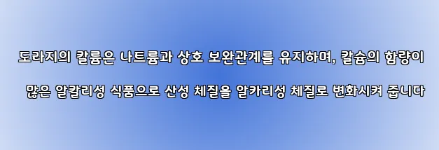  도라지의 칼륨은 나트륨과 상호 보완관계를 유지하며, 칼슘의 함량이 많은 알칼리성 식품으로 산성 체질을 알카리성 체질로 변화시켜 줍니다