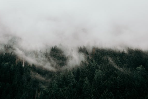 수능 당일 날씨