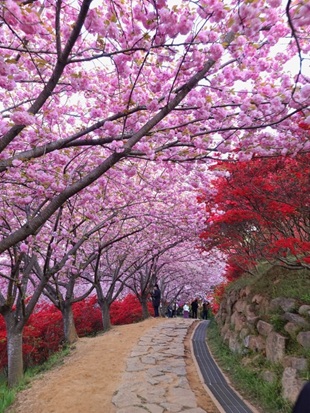 전주 완산공원2