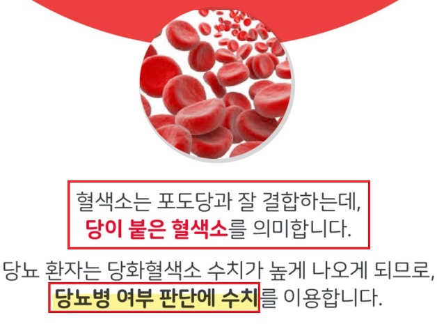 당화혈색소-정의