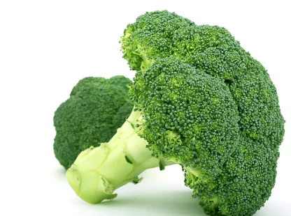 무릎-관절에-좋은-음식-건강