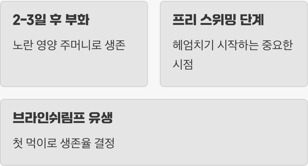 꼬물이들의 첫 식사