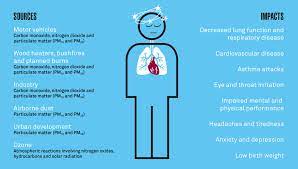 만성 폐쇄성 폐질환