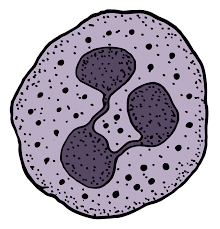 혈소판 수치 올리는 방법