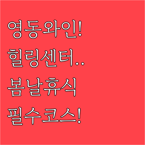 영동 와인터널과 레인보우 힐링센터에서..