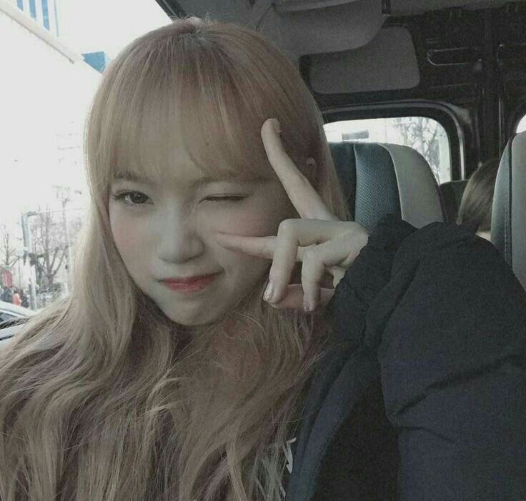 김채원 사진 모음 김채원 사진 모음