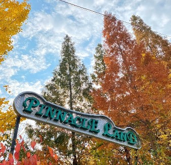 피나클랜드 불꽃놀이