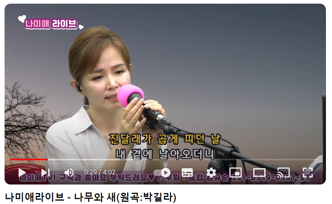 박길라-나무와-새