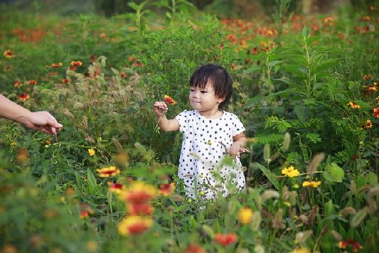 화담숲 예약 및 방문 정보4
