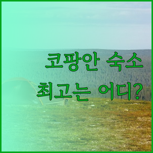 코팡안 숙소 추천 세 곳 비교분석 어