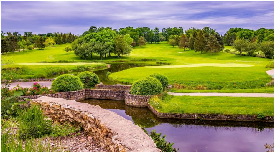 국립공원예약통합시스템
