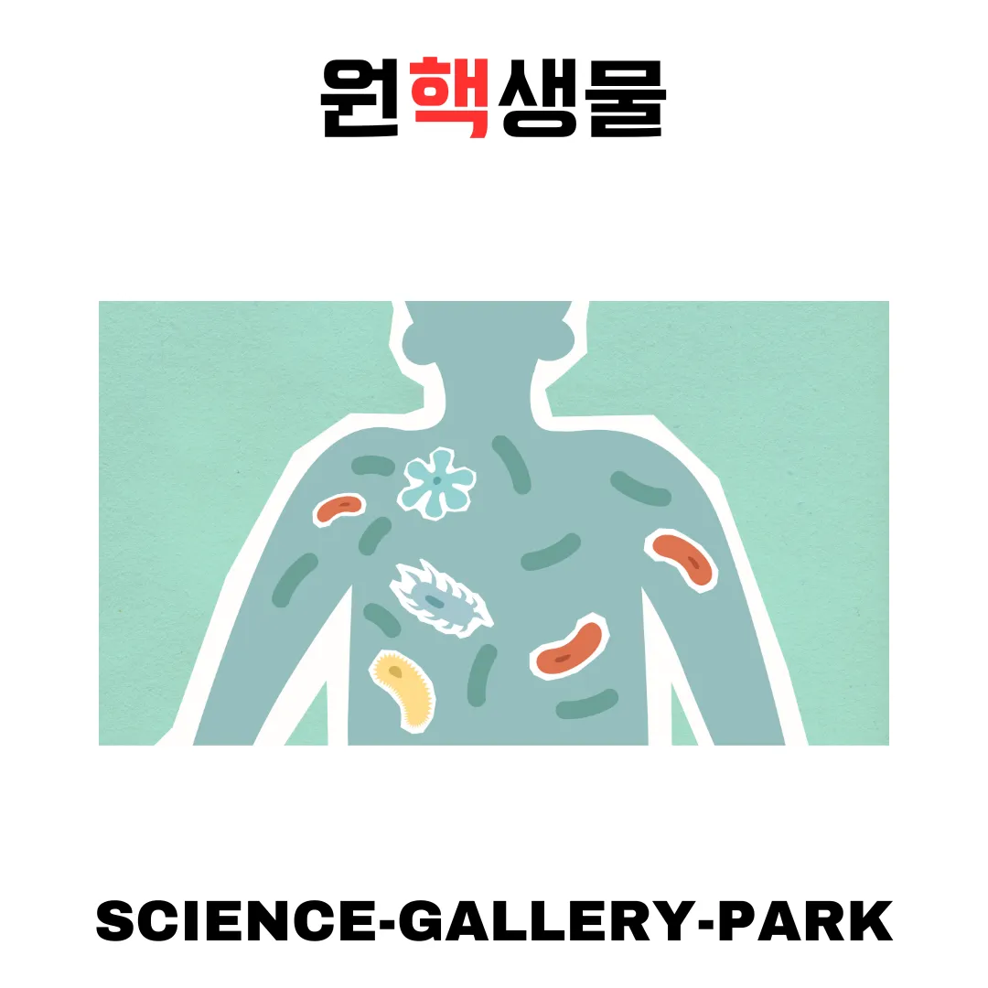 원핵생물 세균