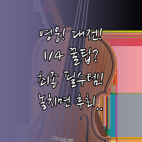 영웅시대 대전 콘서트 1월 4일 관람..