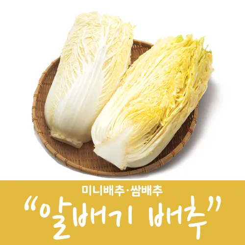 알배기 배추 물김치 담그는 법 및 보관 방법 총정리_5