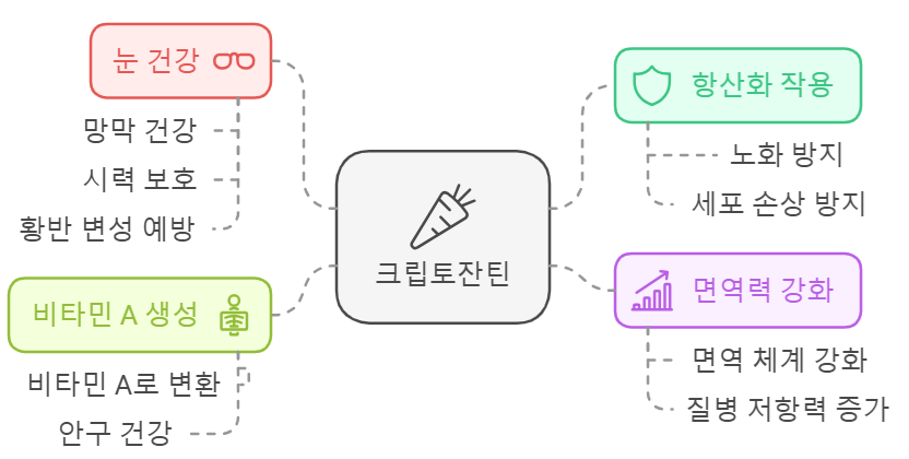 크립토잔틴 효능