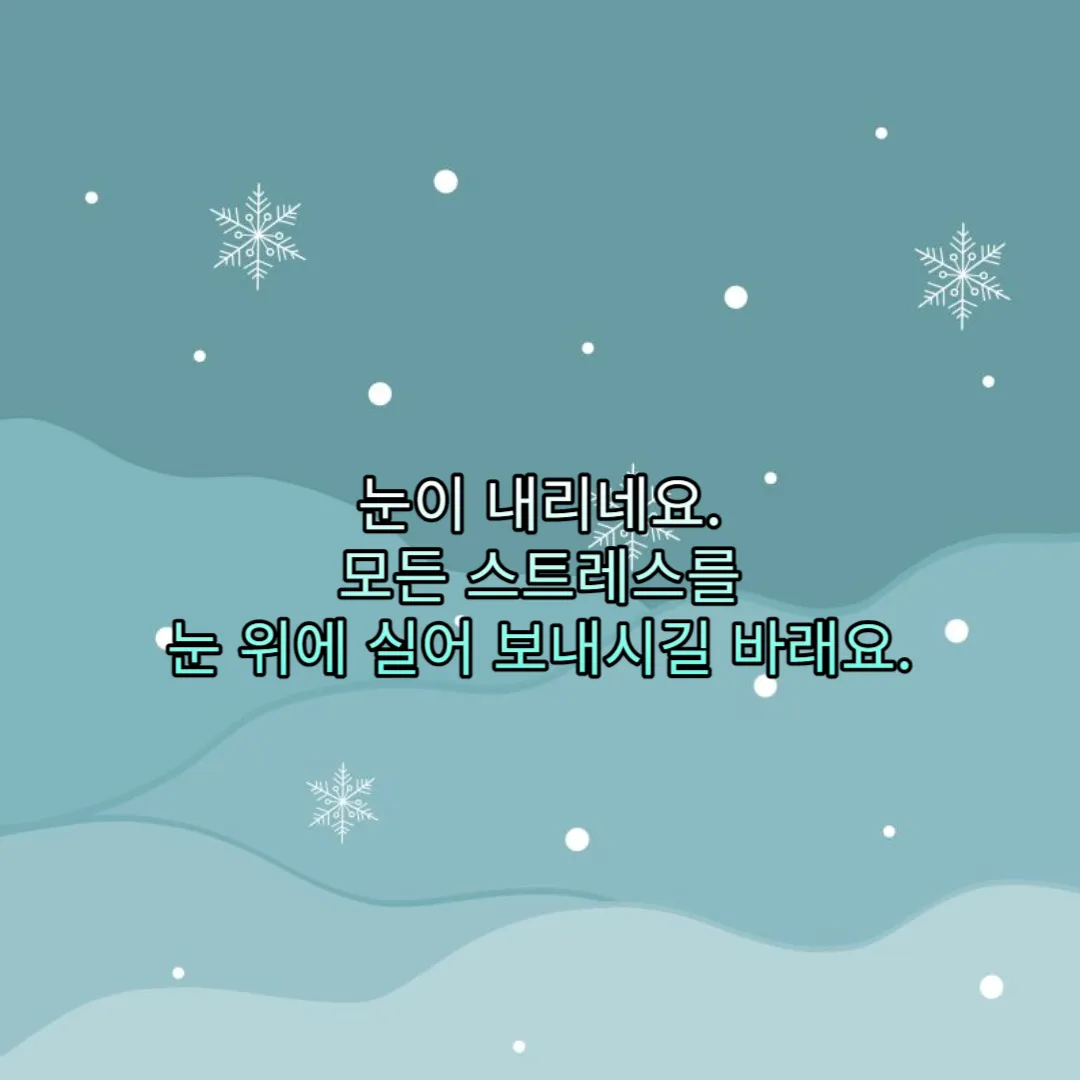 눈이 내리네요. 모든 스트레스를 눈 위에 실어 보내시길 바래요.
