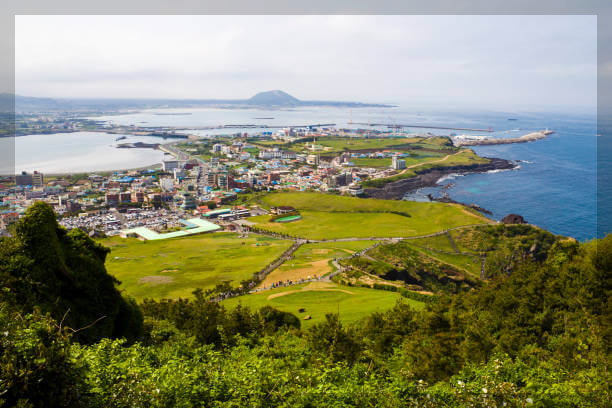 제주항공 예약 방법과 유용한 팁