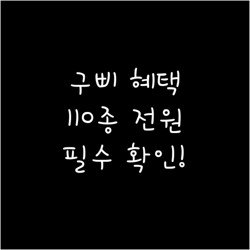 국민비서 구삐 110종 맞춤형 혜택 ..