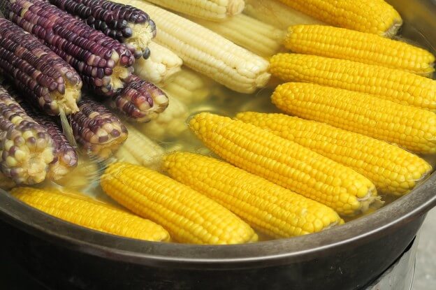 자주색과노란색의-옥수수들이-대야에-담겨있습니다.