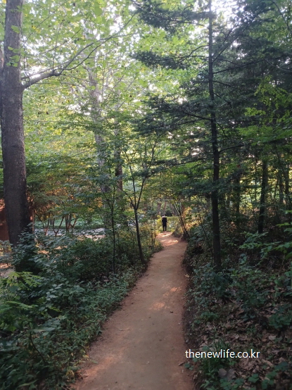 숲속 좁은 흙길을 맨발로 걷는 사람의 뒷모습, 발바닥 반사구 자극에 효과적인 서울 맨발 걷기 좋은 곳-서울 어린이대공원 산책길