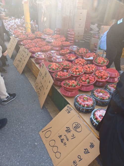딸기