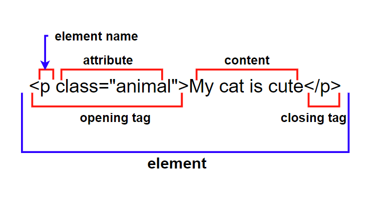 html문법