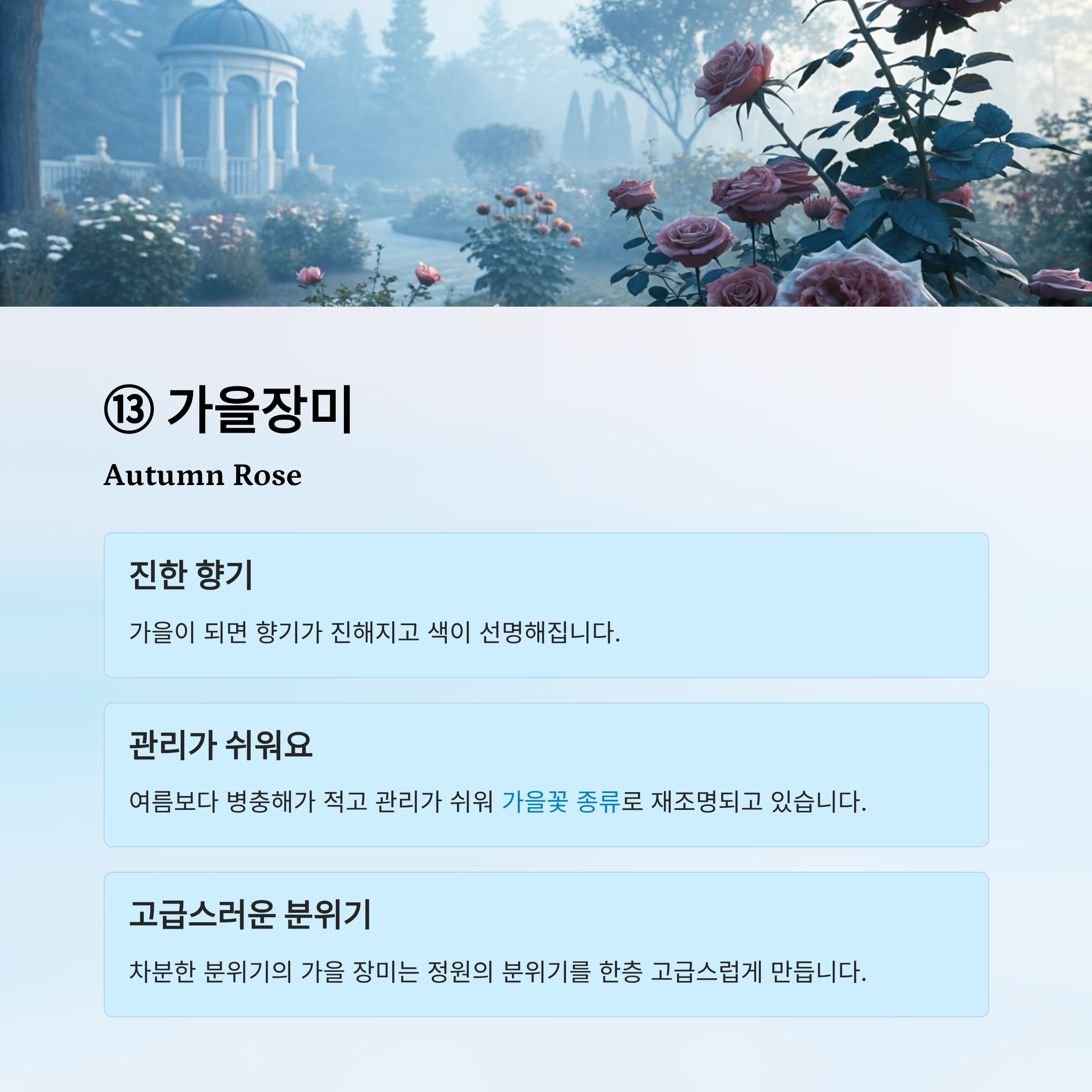 가을꽃 종류 알아보기