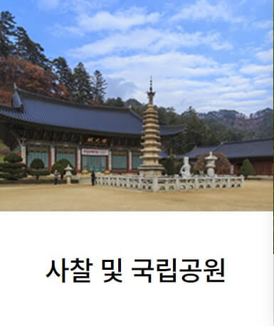 2025 대관령 눈꽃축제