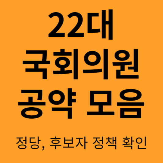 국회의원 공약
