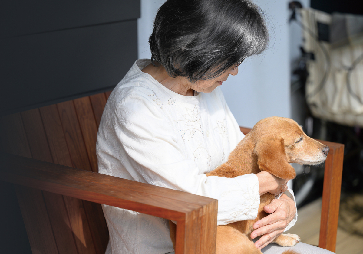 시니어 부모님 반려동물