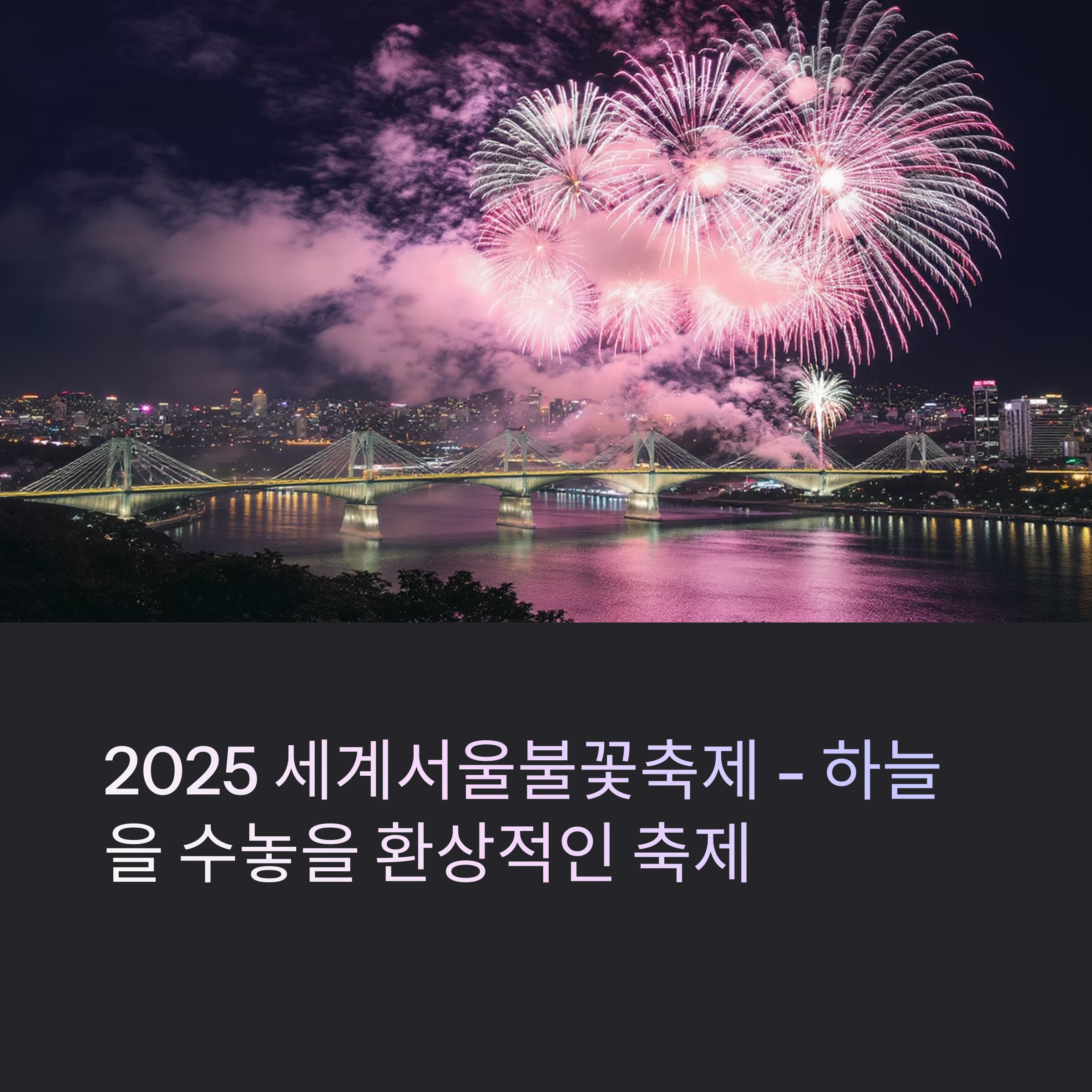 2025 세계불꽃축제 완전정복