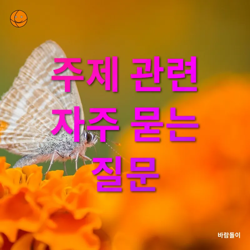지속 가능한 라이프스타일_4