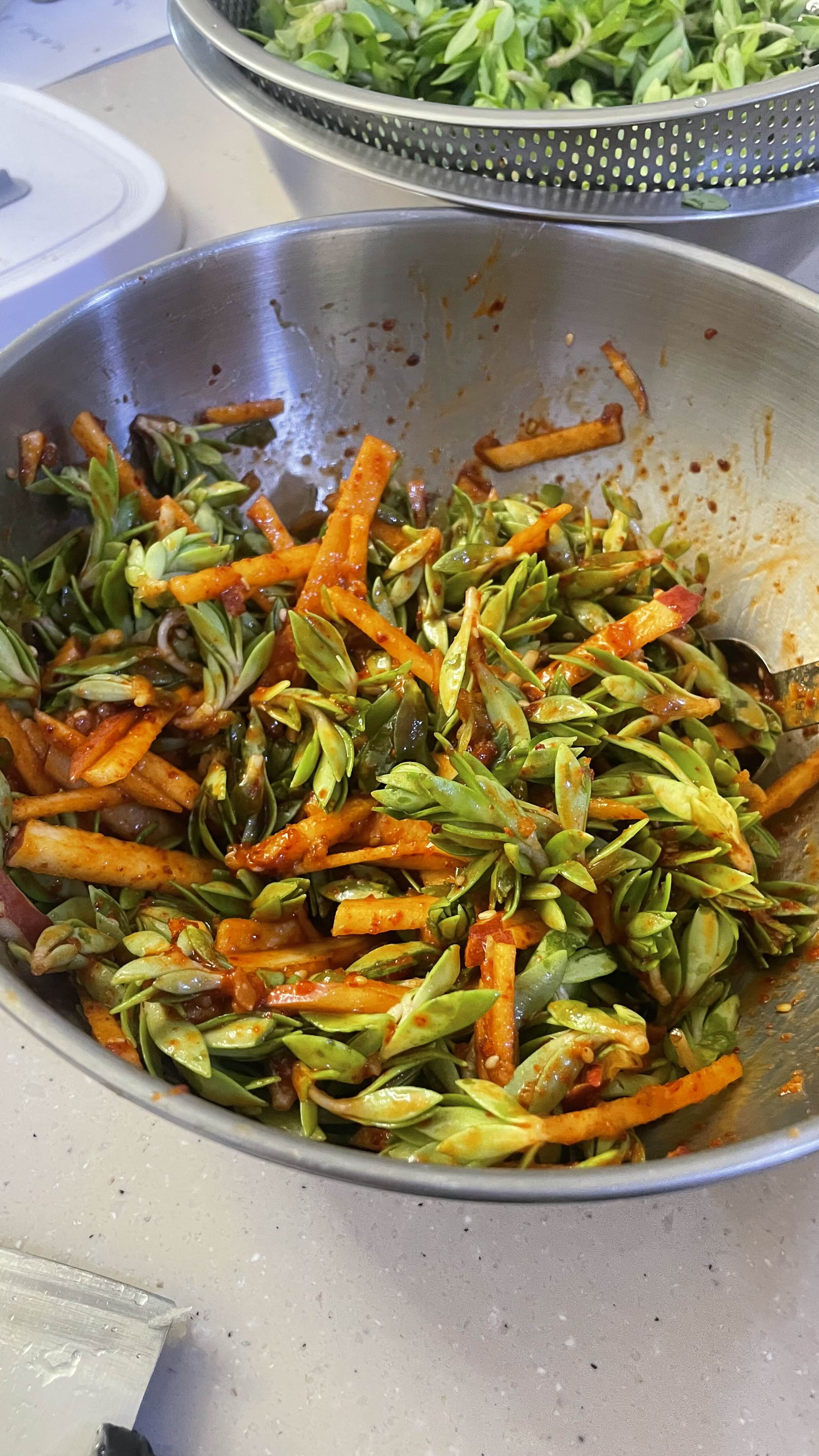 봄철 입맛 살리는 돌나물무침 레시피