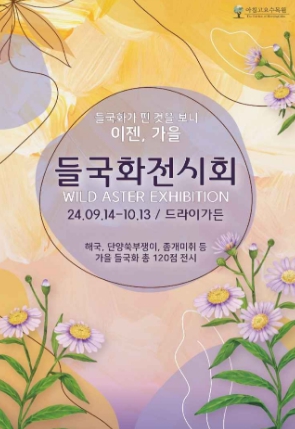 아침고요수목원-들국화전시회