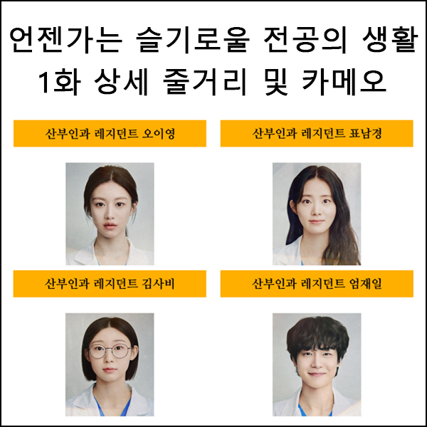 언젠가는 슬기로울 전공의생활 1화 상세줄거리 및 카메오 출연진소개 등장인물