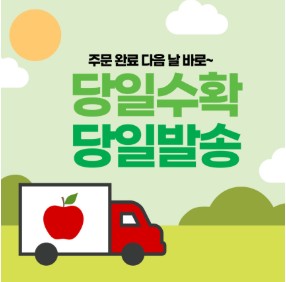 생방송 오늘 아침 아이스플랜트 얼음채소 주문 방법(암 예방 확률 2배) 관련사진