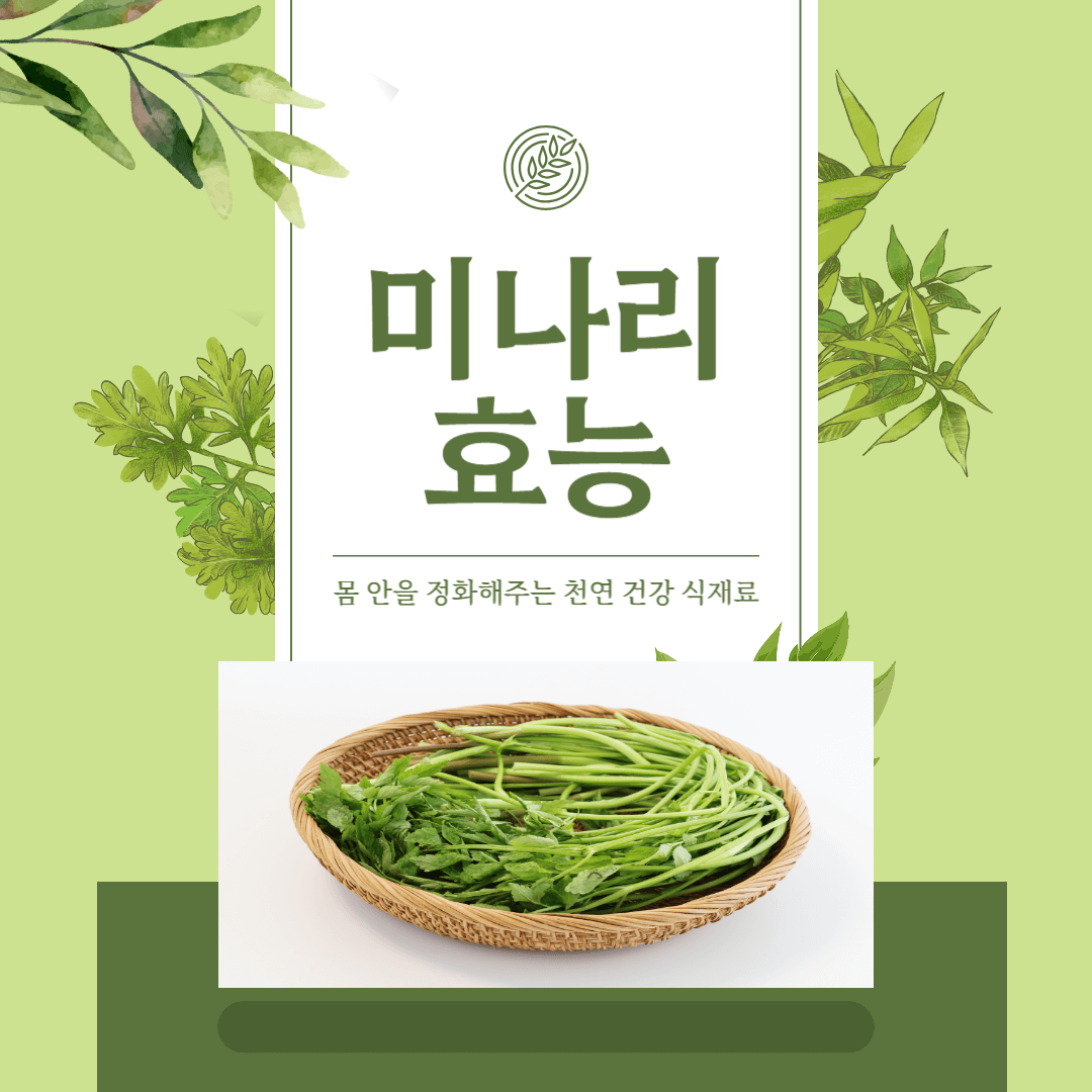 미나리 효능