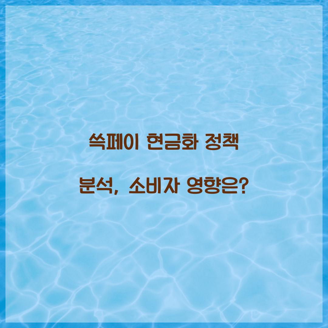 쓱페이 현금화 정책 분석