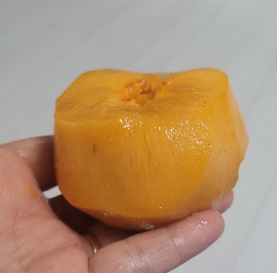 떫은감 소금물에 우리기