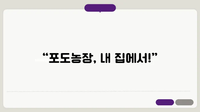 포도나무 가지치기 방법