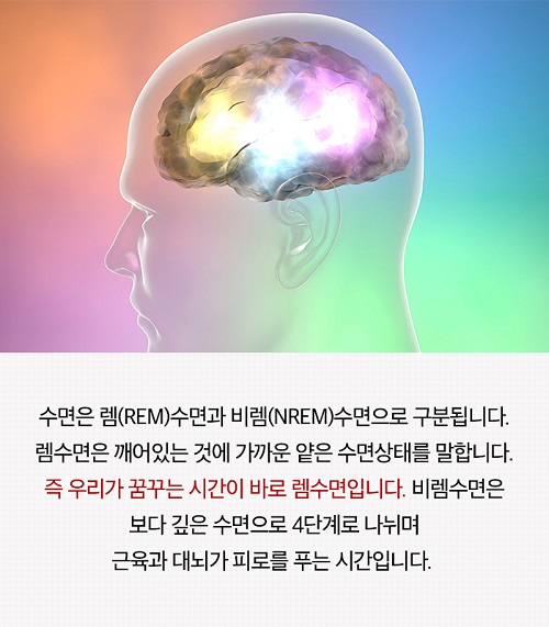 수면부족이 두뇌에 미치는 영향