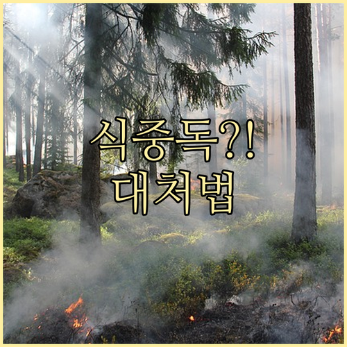 구토, 설사, 복통? 식중독 증상과 ..