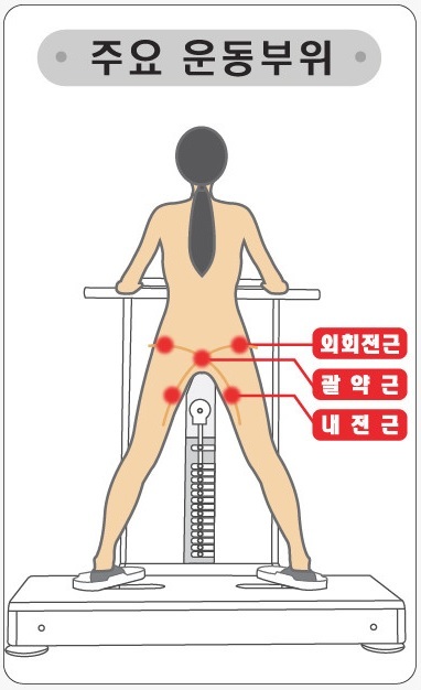 운동기구를 쓰면 외회전근,,괄약근, 내전근의 강화가 된다는 그림